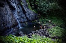 Enjoy Moorea Private day tour