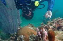  Experience Scuba Diving / NO certification Needed
