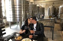Montevideo Cruise Wine Tour designed for a small group