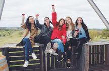 Montevideo Cruise Wine Tour designed for a small group