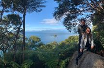 Full-Day Abel Tasman National Park Hiking Tour with Cruise