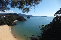 Full-Day Abel Tasman National Park Hiking Tour with Cruise