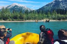 VIP Experience - Private Boat
