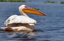 Full-Day Tour to Hell's Gate and Lake Naivasha from Nairobi
