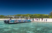 Lady Musgrave Day Trip from Bundaberg Including Snorkeling