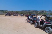 Value for money Quad & Buggy Tour to Lara Bay and Adonis Falls