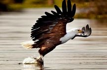 5 Days safari to Maasai Mara ,Lake Nakuru and Hell's gate national park