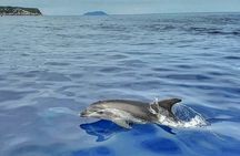 Half-Day Private Boat Tour to Blue Lagoon, Trogir & Shipwreck Bay