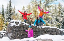 Winter Wildlife Discovery Tour