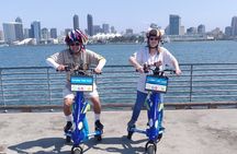 Paradise Trike Tours