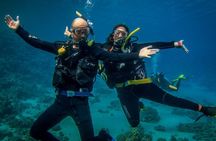  Diving Full Day Boat Trip - Marsa Alam
