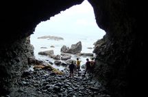 Sea Cave Tide Pool Walk at Dana Point