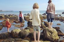 Sea Cave Tide Pool Walk at Dana Point