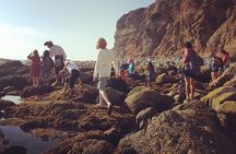 Sea Cave Tide Pool Walk at Dana Point