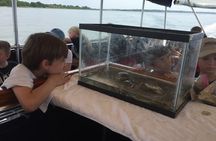 Nature Boat Tour with Certified Naturalist in Charleston