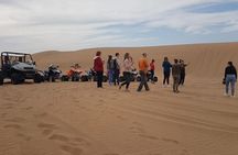 Agadir Quad biking/Dune's Buggy