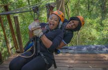 Tsitsikamma Canopy Tour
