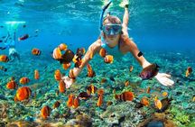 Island Tour with Snorkeling in West Bay Honduras