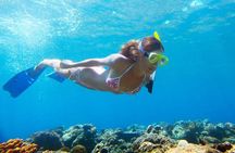Island Tour with Snorkeling in West Bay Honduras