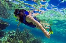 Island Tour with Snorkeling in West Bay Honduras