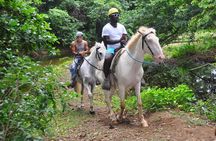 Horseback Riding at Macao Beach