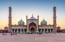 Delhi Full-Day Private Guided Tour