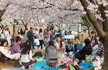 Osaka Private Cherry Blossom Tour with a Local – Picnic Included