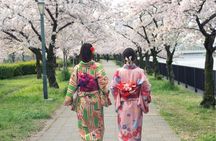 Osaka Private Cherry Blossom Tour with a Local – Picnic Included