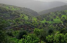 Private Tour to Ajloun from Amman with Optional Hiking Experience 