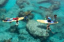 Stand Up Paddleboard Eco tour
