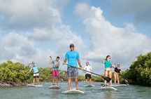 Stand Up Paddleboard Eco tour
