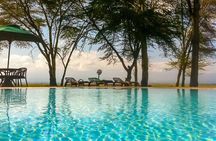 1-Day Amboseli Safari