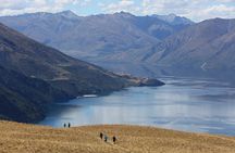 Wanaka High Country Walk