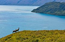 Wanaka High Country Walk