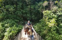 Private Full-Day Tour to Gocta Waterfall