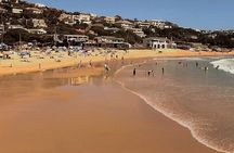 Full-Day Private Cape Town Sightseeing Tour