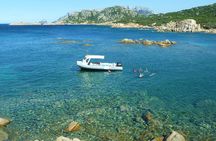 Tour to Figarolo Island with the possibility to observe dolphins