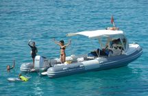 Tour to Figarolo Island with the possibility to observe dolphins