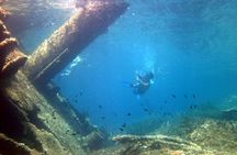 Boat tour to explore the Marine Protected Area of Tavolara
