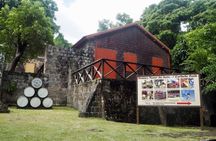 Panoramic Sightseeing Tour of St Kitts