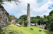 Full Island Private Tour