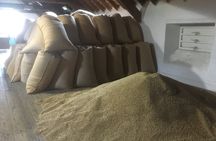 Full-Day Private Speyside Malt Whisky Trail Tour from Grantown-on-Spey