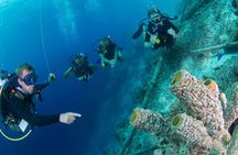PADI Open Water Course in Curacao