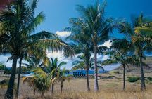 Anakena and Rapa Nui Culture in Easter Island