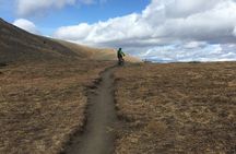 Whistler Half-Day Mountain Bike Tour