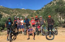 Whistler Half-Day Mountain Bike Tour