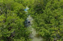 Clear Kayak Guided Eco Tour in North Naples