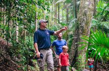 Lamington National Park, O'Reilly's & Vineyard Tour