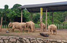 Lok Kawi Wildlife Park