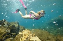 Champagne Reef, Bubble Beach and Scotts Head Snorkeling tour by boat in Dominica